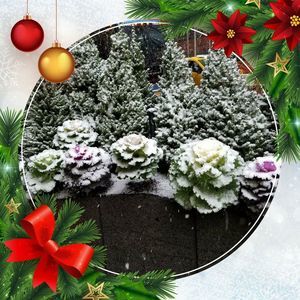 Meet your Posher, Jack